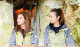 吃瓜娱乐圈万万没想到,揭秘“吃瓜群众”万万没想到的真相